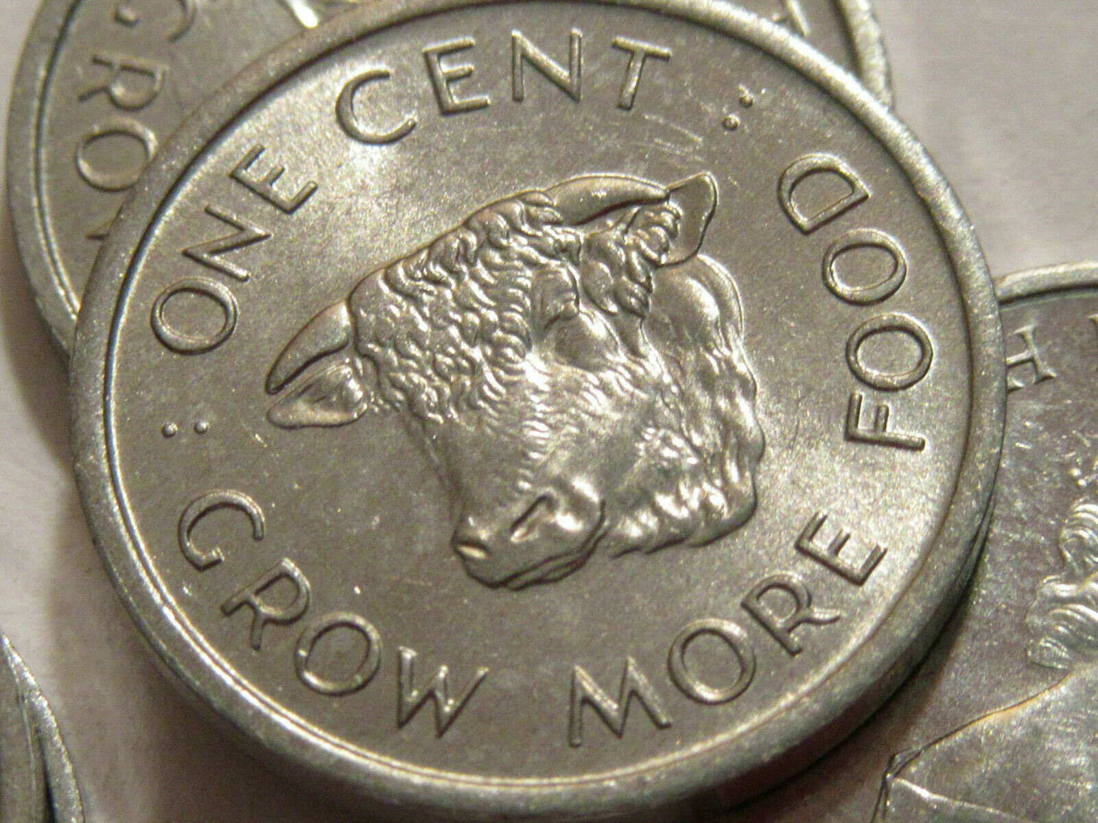 1972 Seychelles coin 1 cent  COW  sweet little coin uncirculated  FAO issue